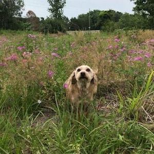 Meet your Posher, Kelley